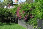 Beaumont Hillslandscape-gardener-12.jpg; ?>