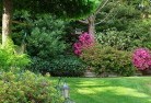 Beaumont Hillslandscape-gardener-46.jpg; ?>